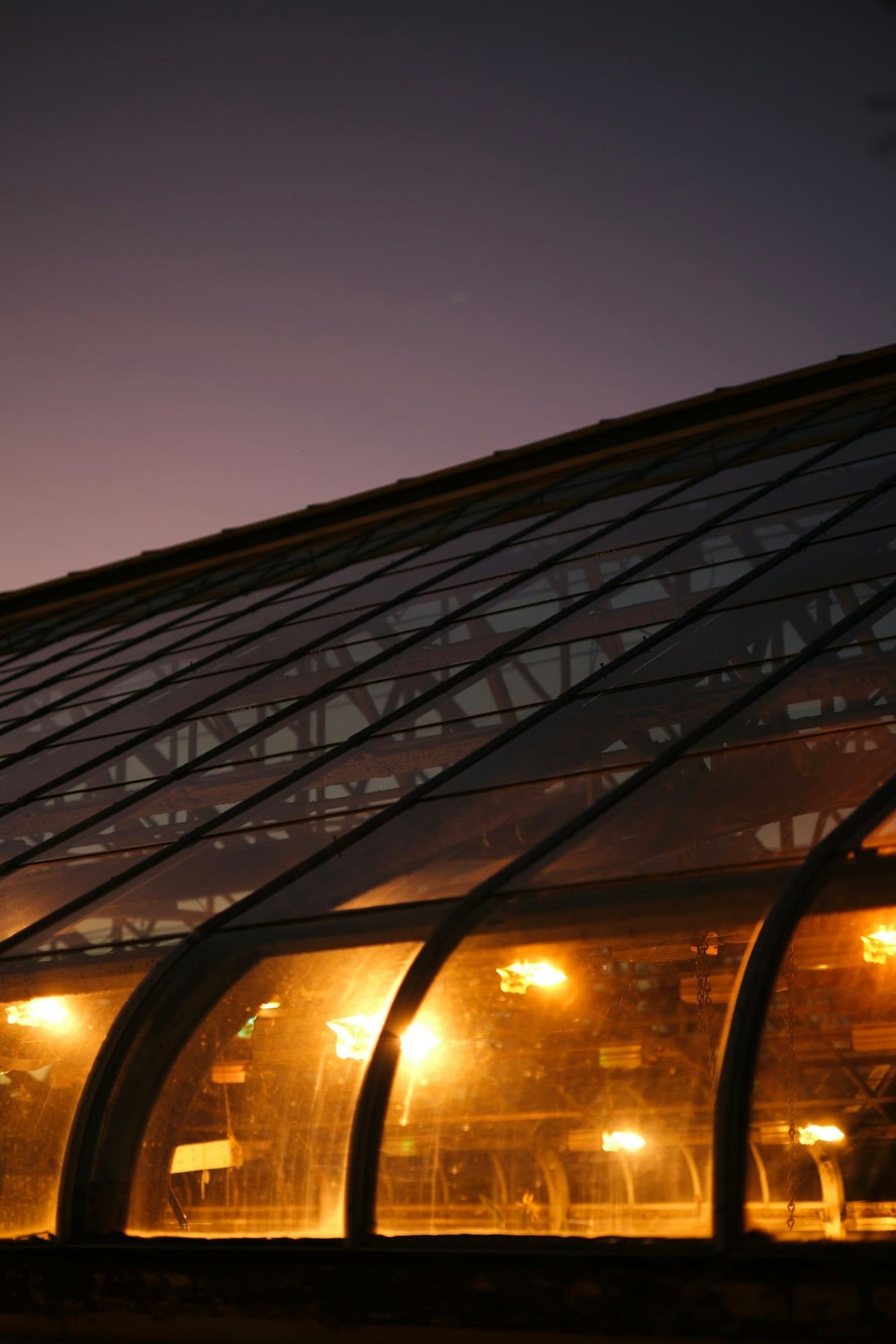 A glass and steel roof structure raking across a dusk sky